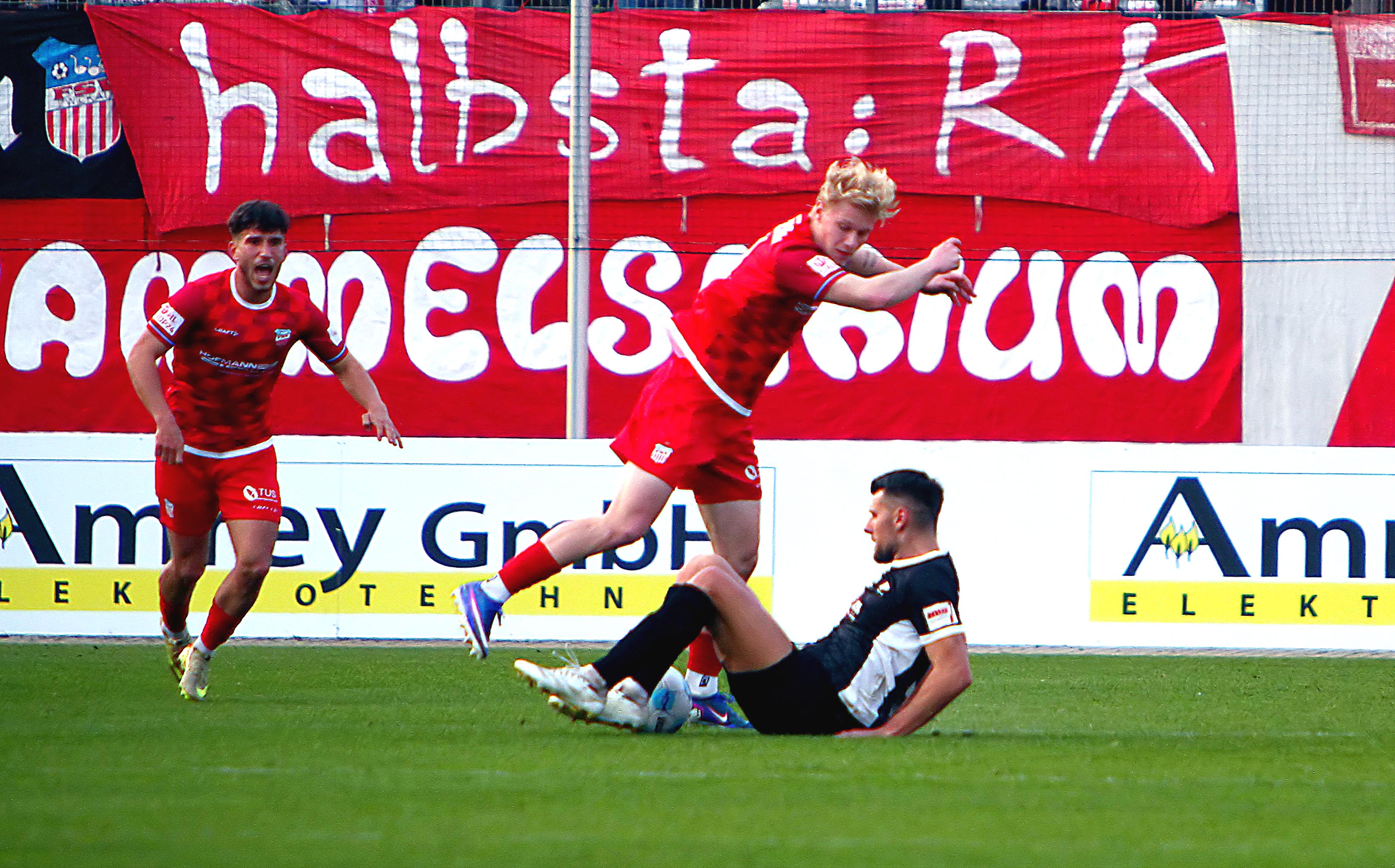 Der FSV Zwickau feiert einen 1:0-Erfolg gegen den BFC Preussen